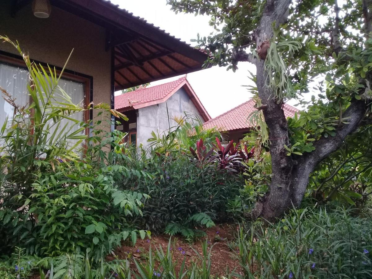 Eliska Sari Bungalows Sumberkima Pemuteran Eksteriør billede